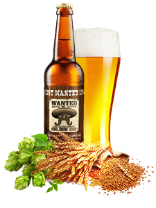 Most wanted ipa